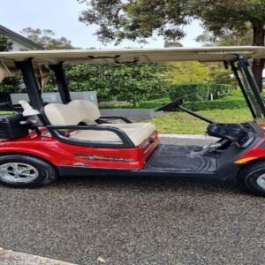 Yamaya 2-seater electric